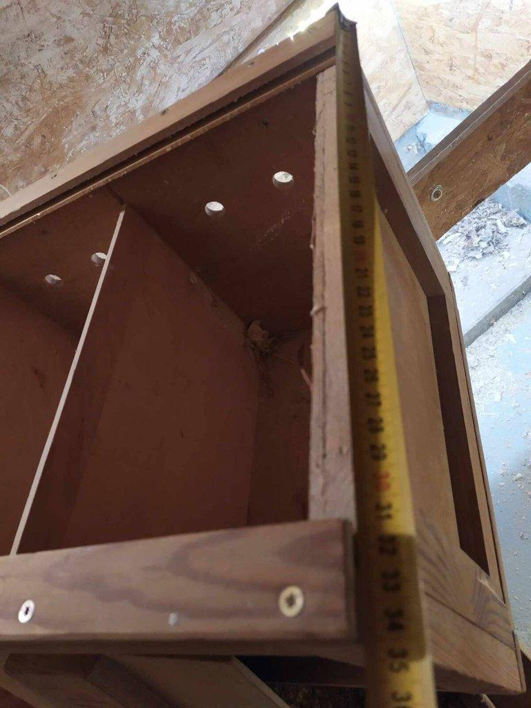 Přepravka na holuby