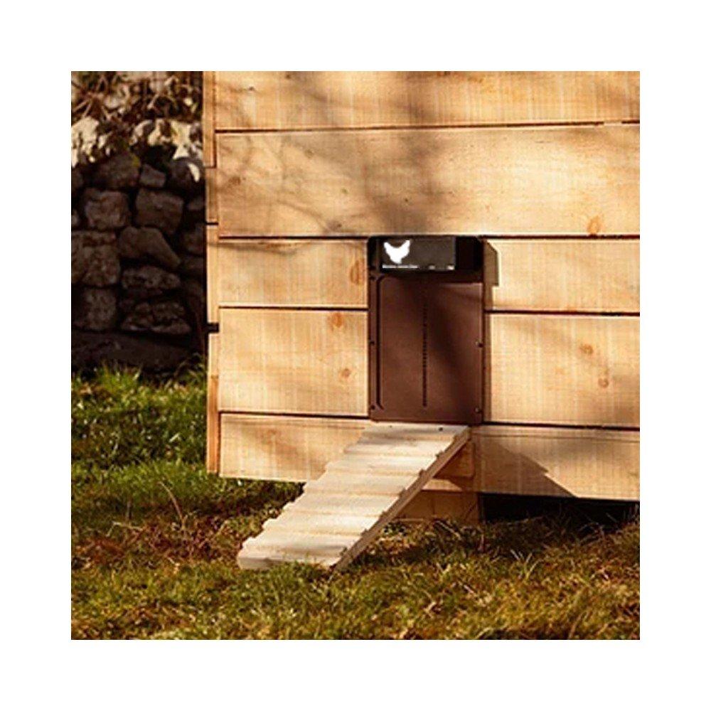 automatická dvířka pro slepice - hnědá