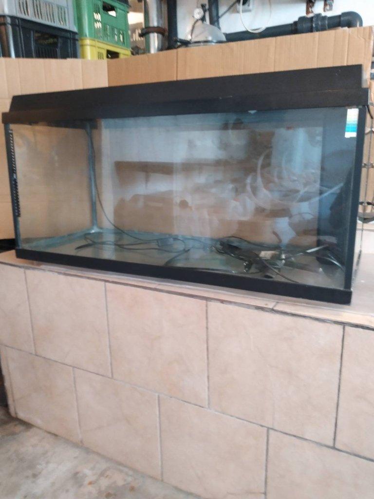 Akvárium 180l (100x40x45, dxšxv) + filtr, topení, osvětlení.