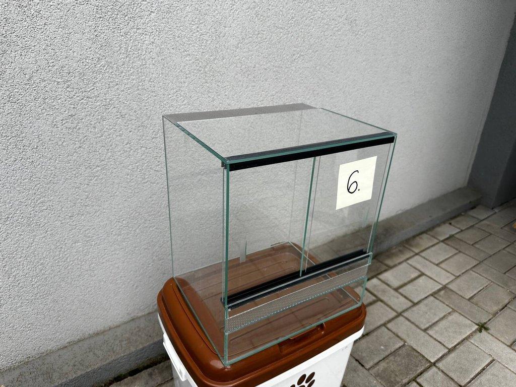 Gekončík noční