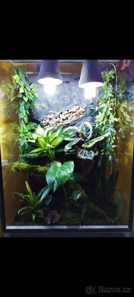 Terárium 60x100x50 ( švh )