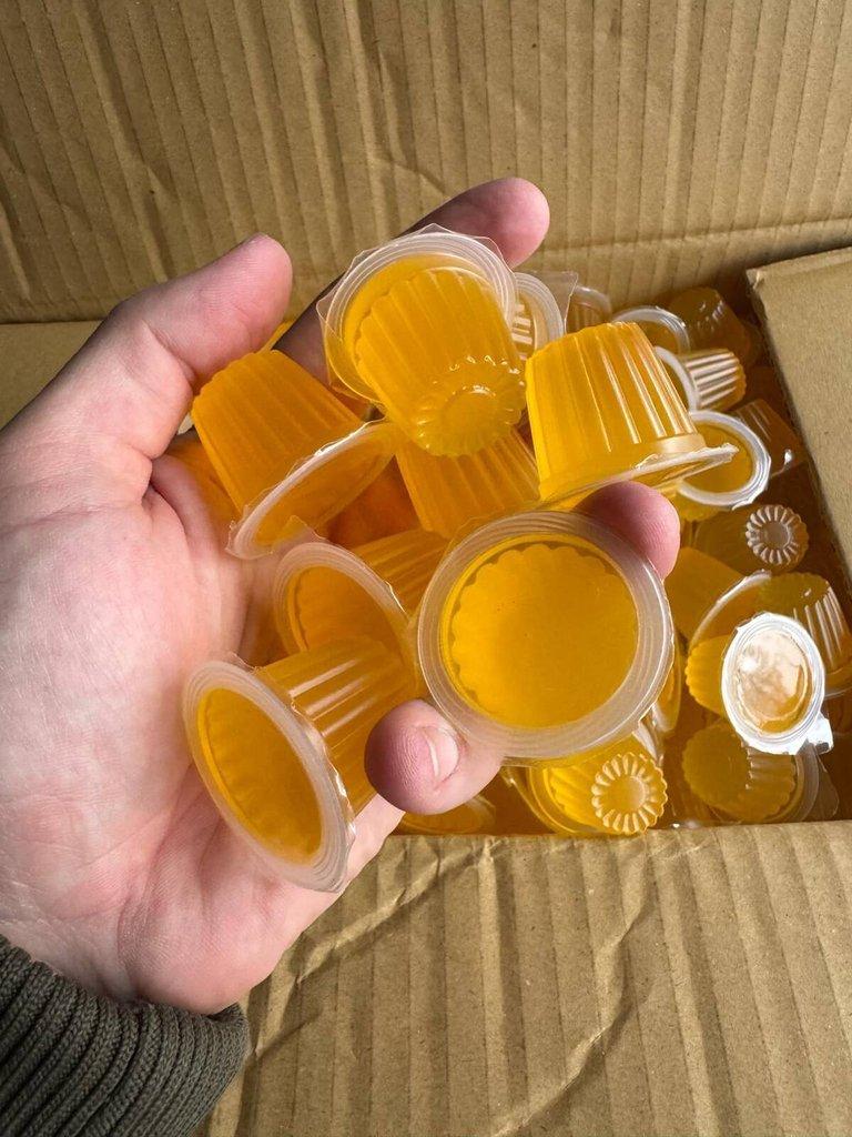 Beetle Jelly -  POSLEDNI KRABICE ... HK - 16.11 + PRAHA 22.11