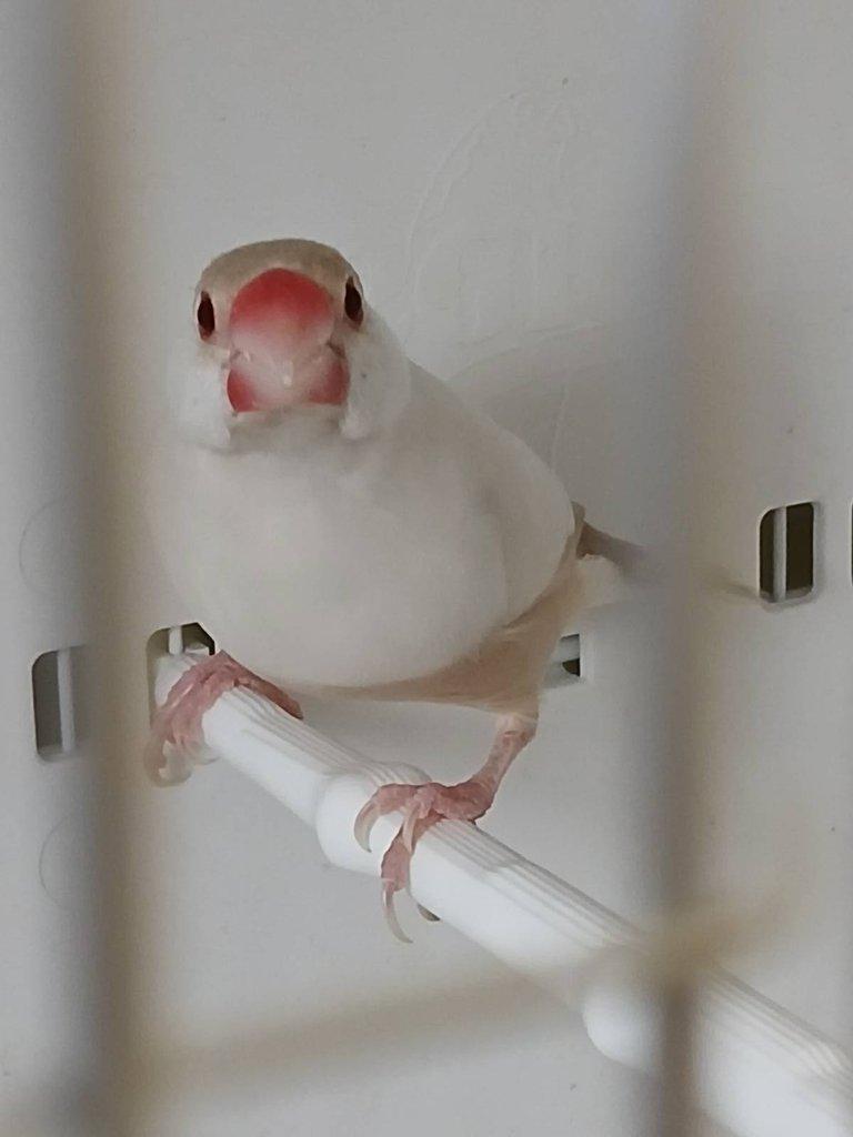 Vyměním