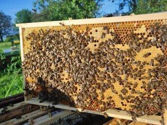 Vyzimované včelstva 39*24, na 1 nástavku