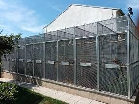 Výroba klecí, voliér, sestavy boxů, plastové budky, krmné pulty, prodej materiálu a jiné