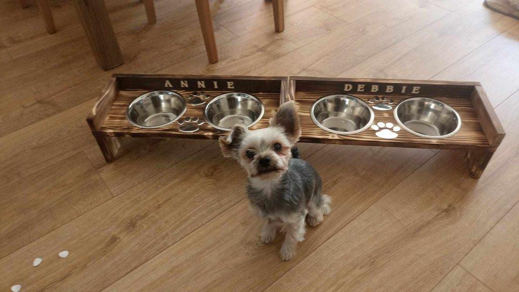 Dog bar
