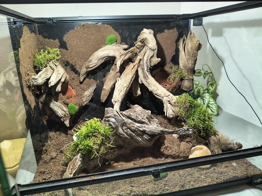 Terarium 60x45x45