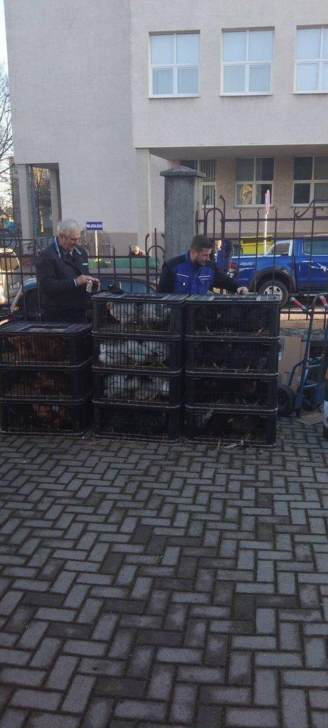 Chovatelské trhy Slezská Ostrava