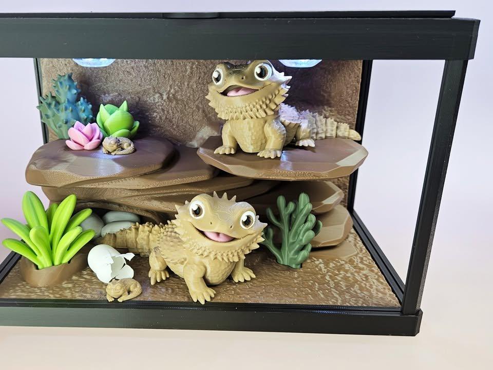 Mini terárium - agama