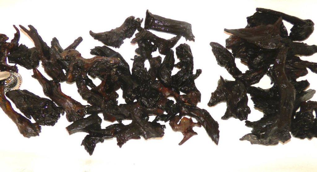akvarijní kořeny