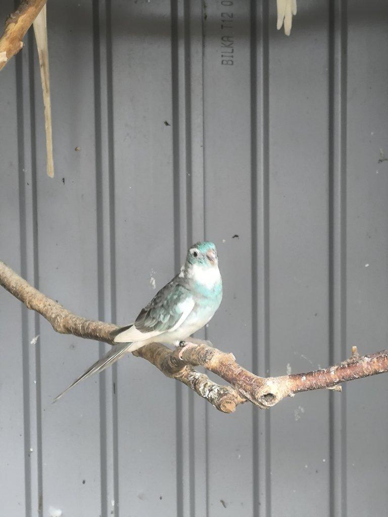 Poslední loňské kusy