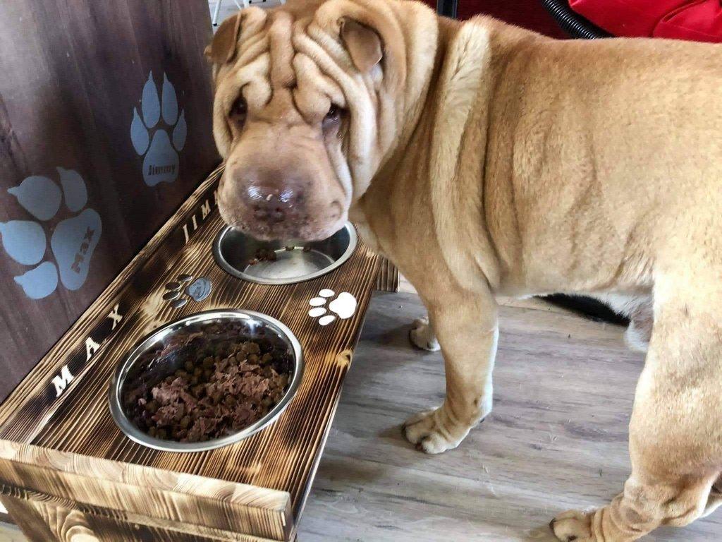Dog bar
