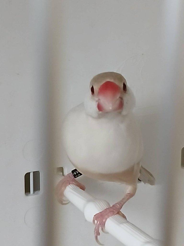Vyměním