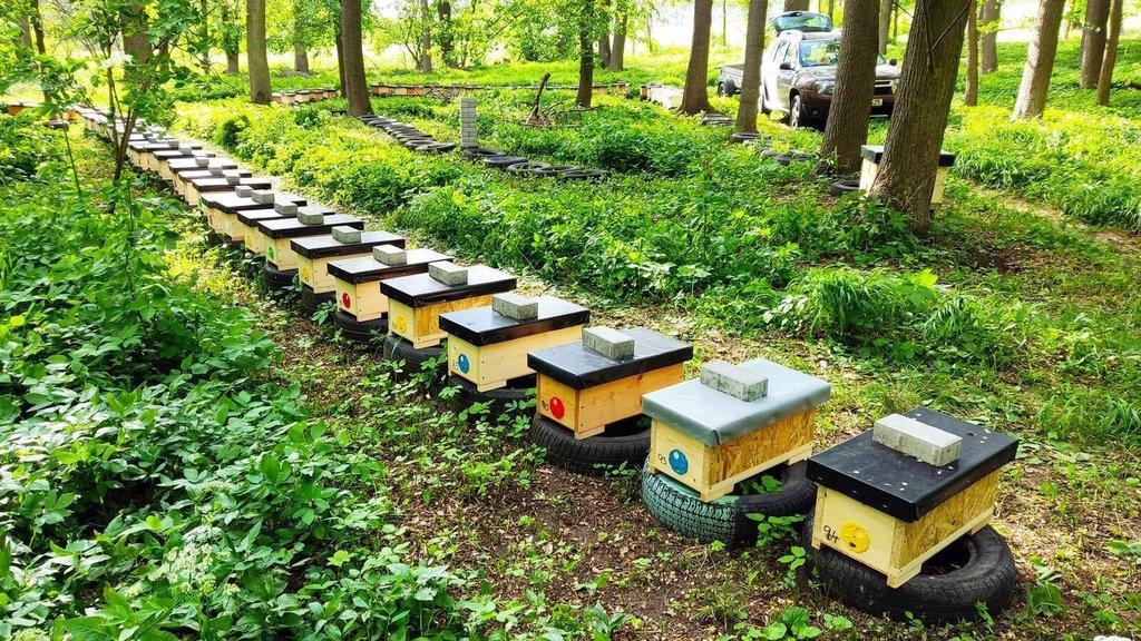 Nabídka oddělků Langstroth 2/3 pro rok 2025
