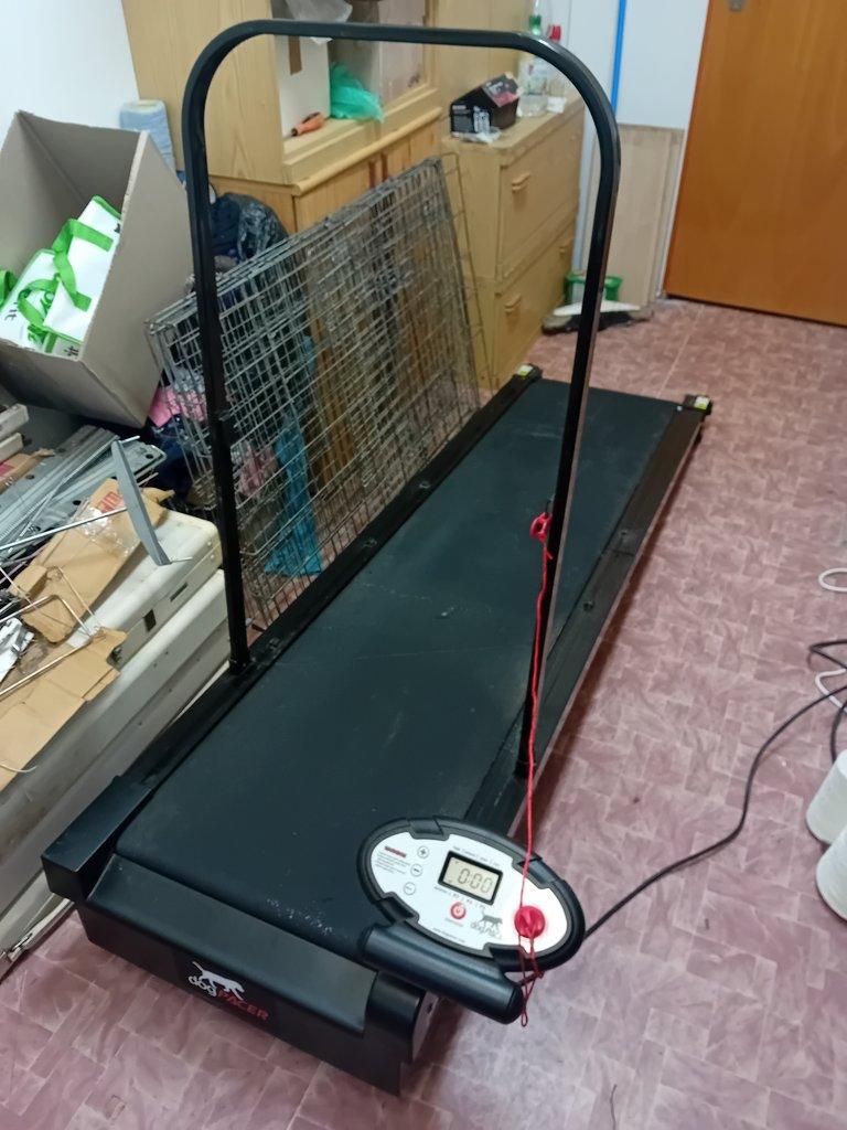 Treadmill- běhací pás pro psy