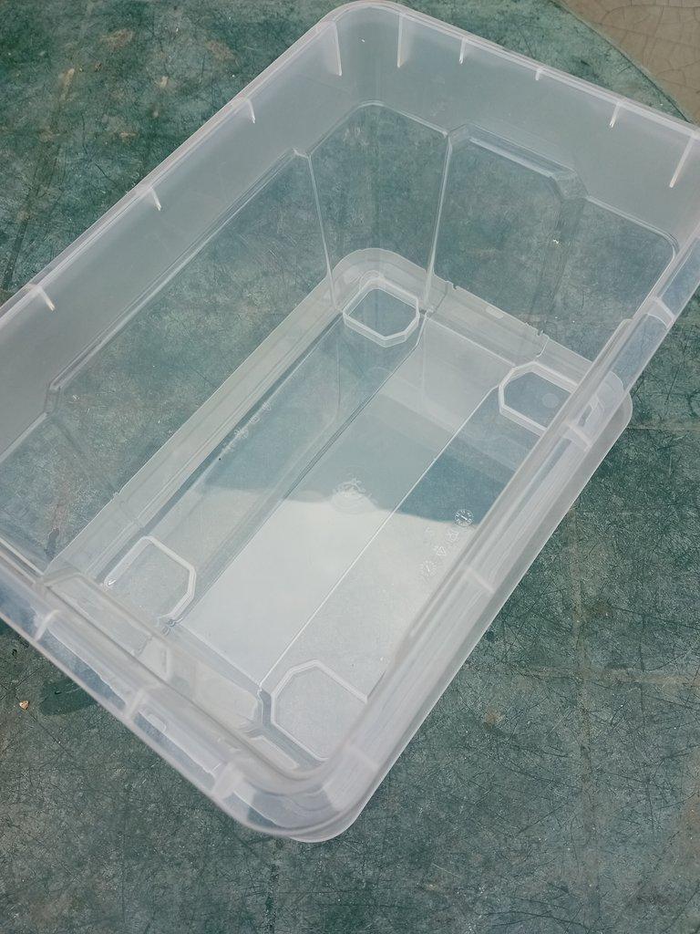 Auloforus - kompletní set na chov