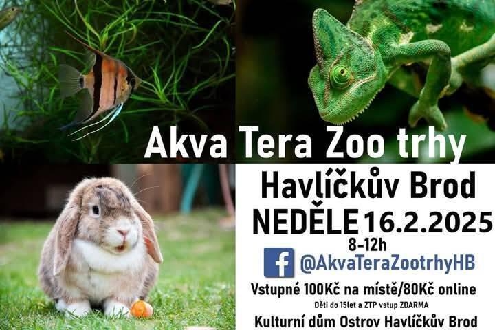 Akva Tera Zoo Trhy Havlíčkuv Brod