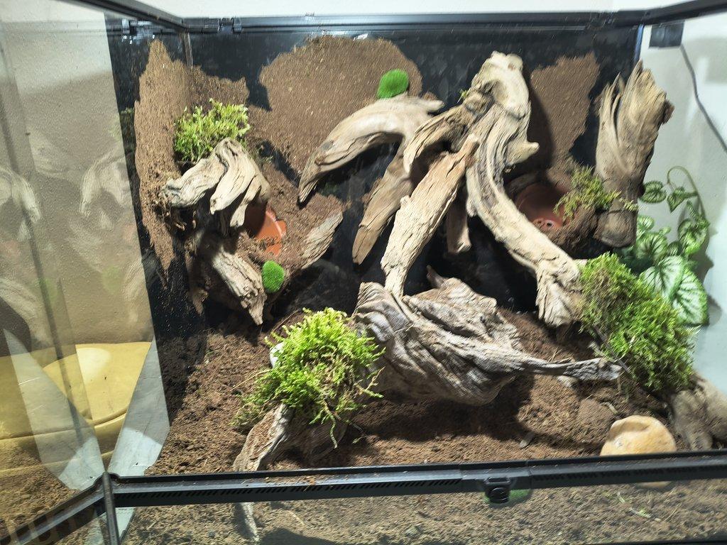 Terarium 60x45x45