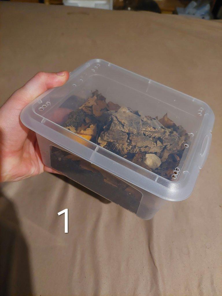 Prodej sbírky isopod