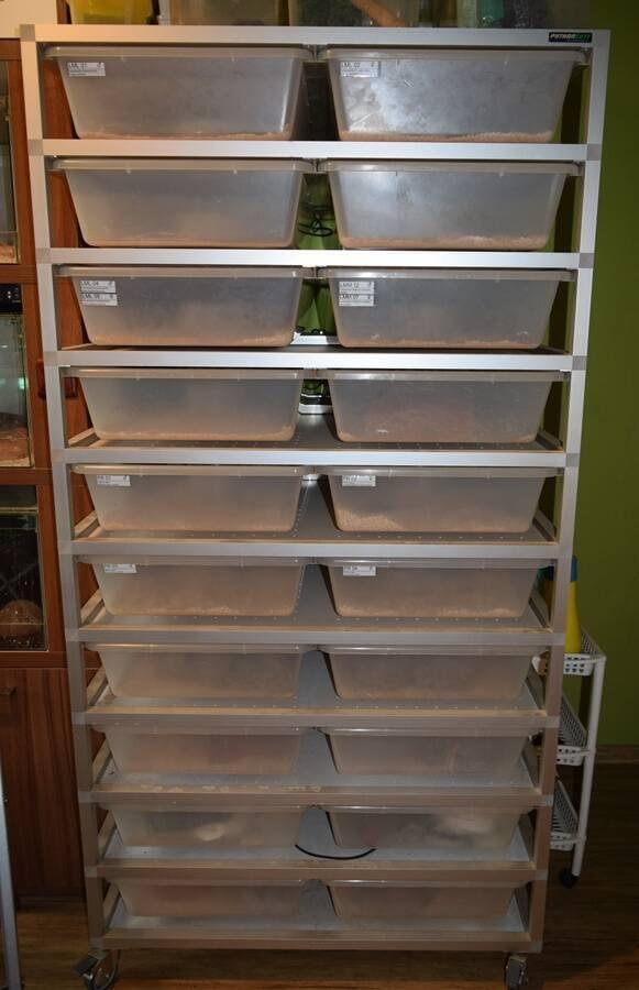 Rack systém pro hady od PythonŠott na 20 boxů, rok výroby 2022