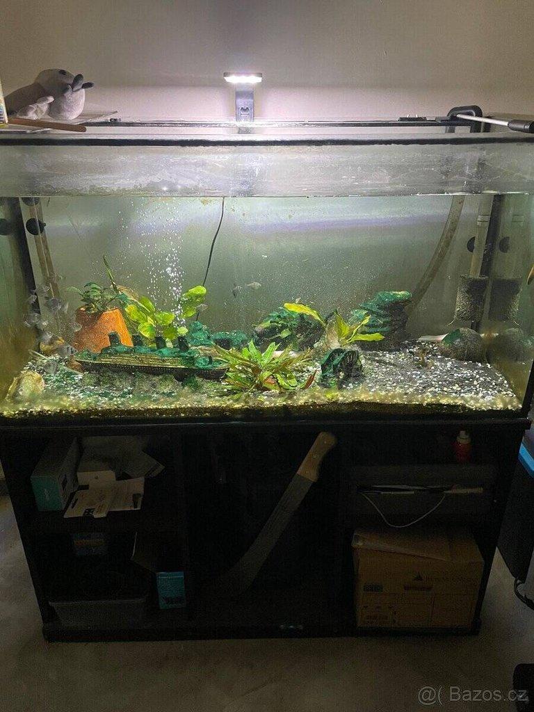 Akvarium