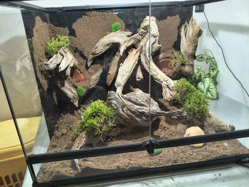 Terarium 60x45x45
