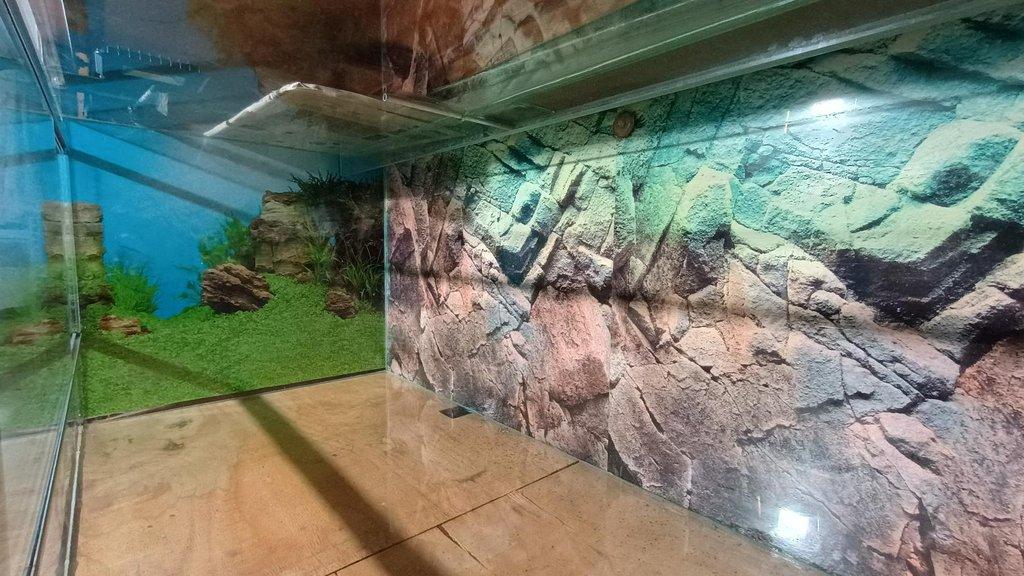 Prodám Velké Terárium  š - 160, h - 60, v - 55 cm