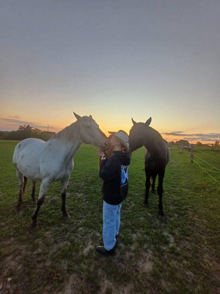 Prodám 10-letou kobylku ApHC/ČT