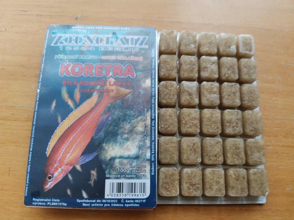 TLAMOVCI MALAWI + MRAŽENÉ KRMIVO _CHOMUTOV_