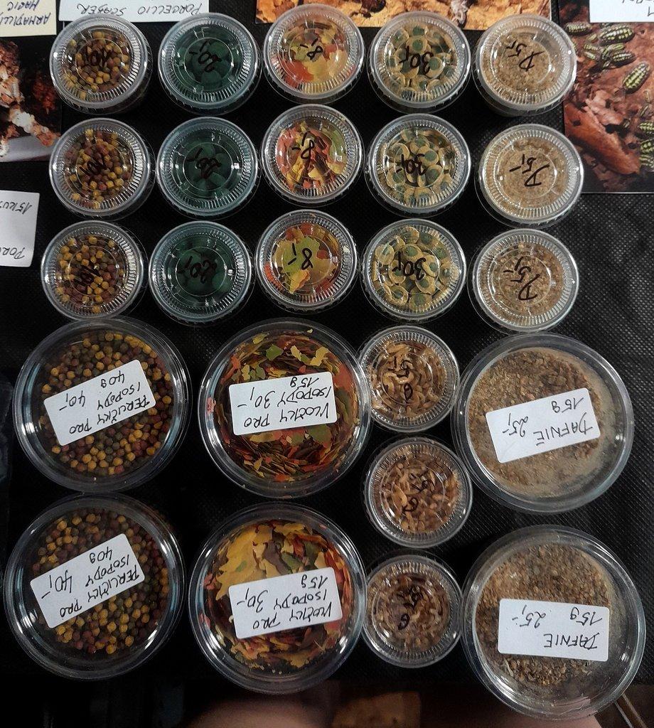 Isopody  - hobby,do terárií i krmné,chovné boxy,krmení - Živá exotika 6.9.,stůl J05