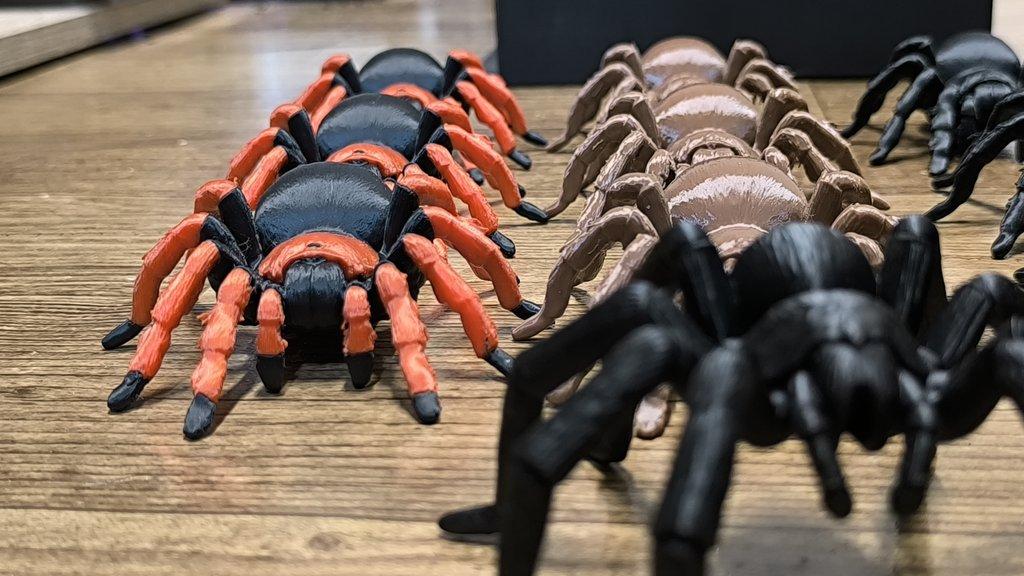 Sklípkani Filamentopelma