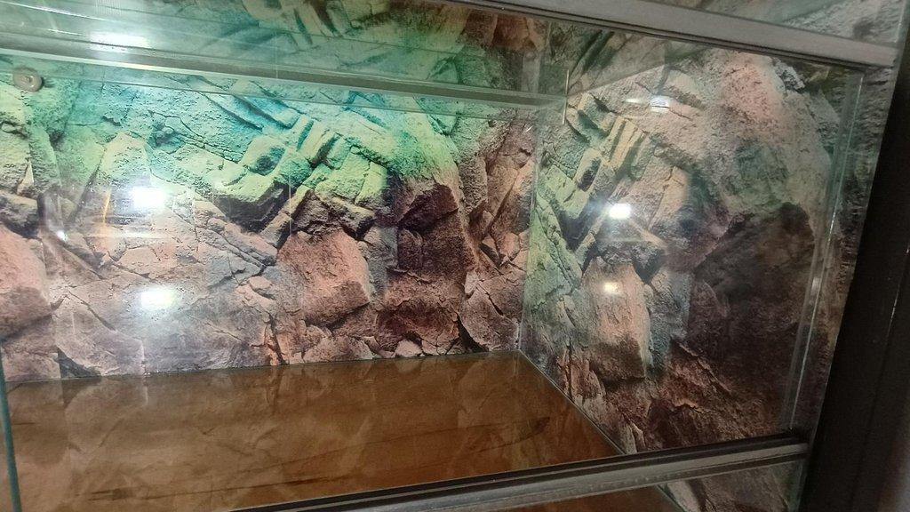 Prodám Velké Terárium  š - 160, h - 60, v - 55 cm