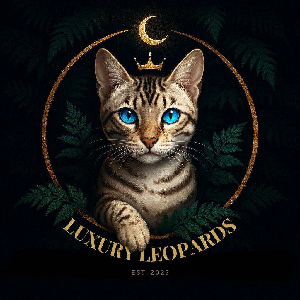 luxuryleopards