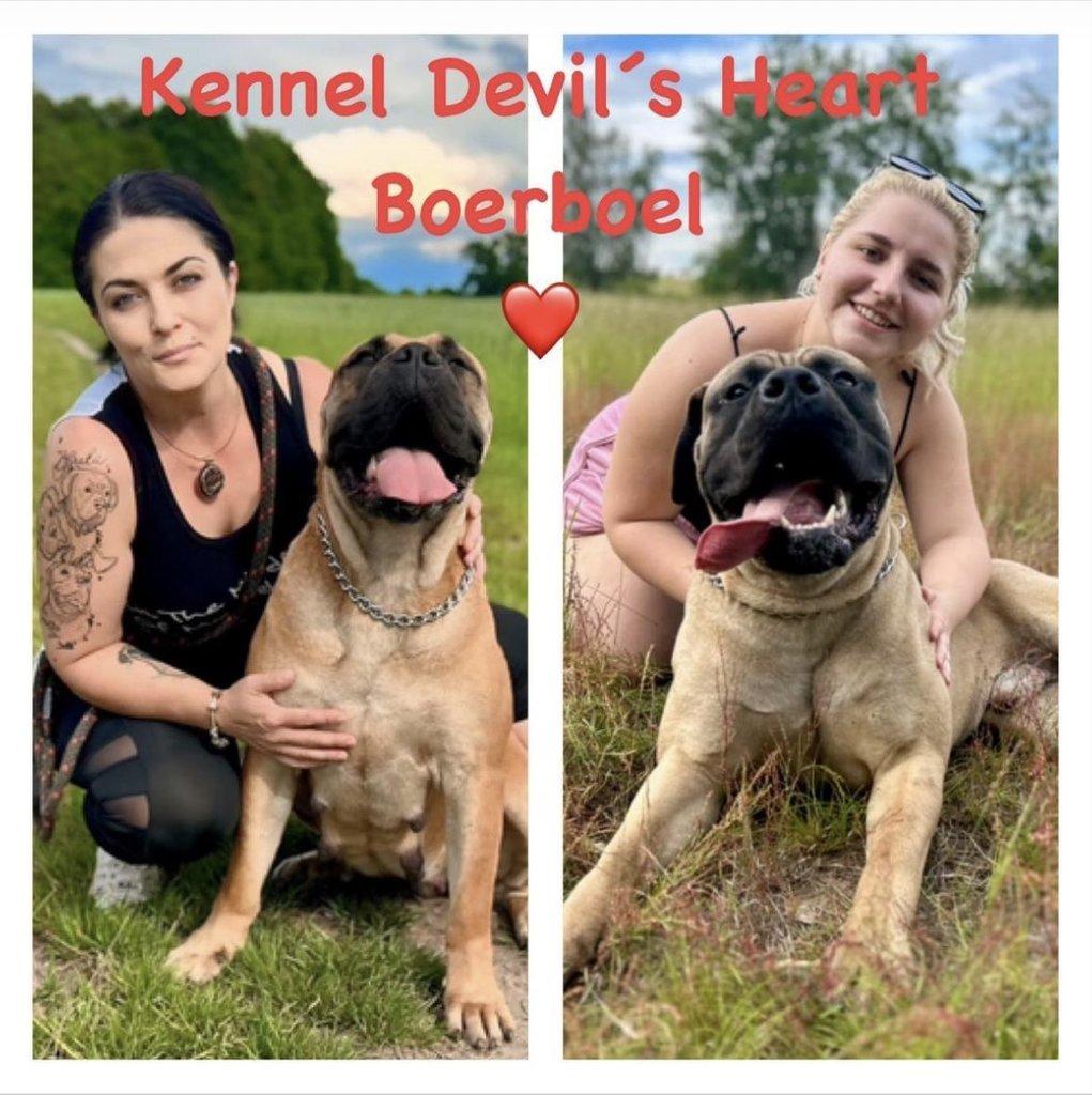 KennelDevilsHeart