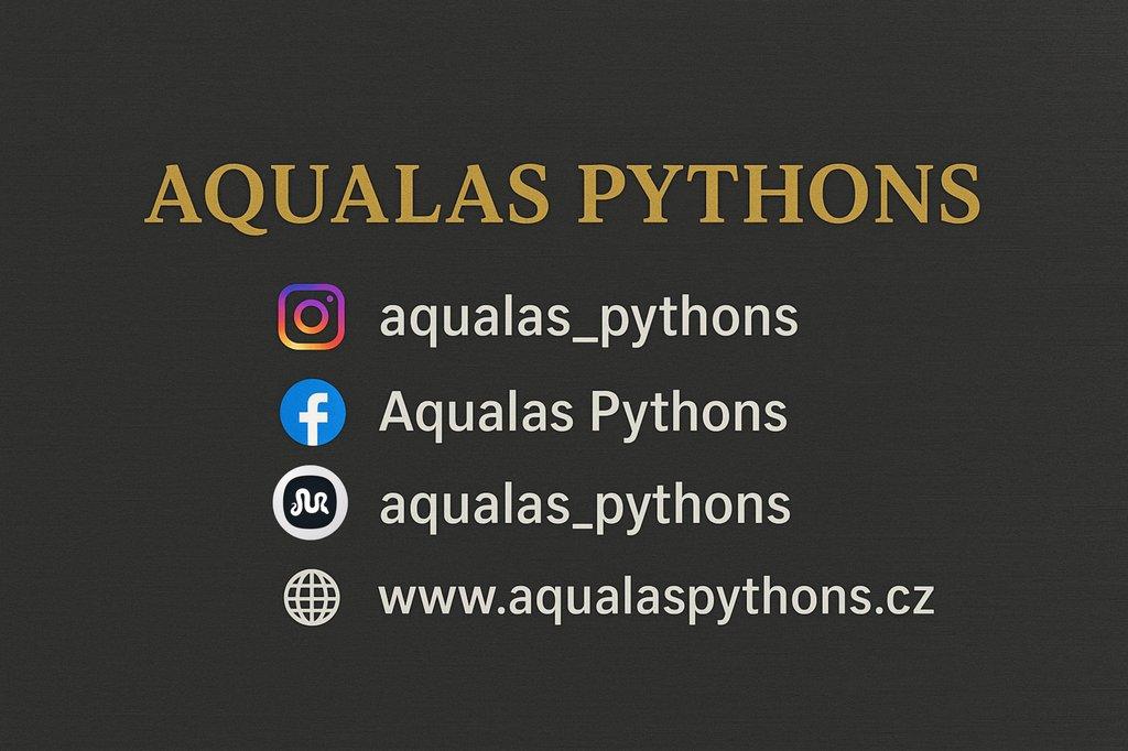 AqualasPythons