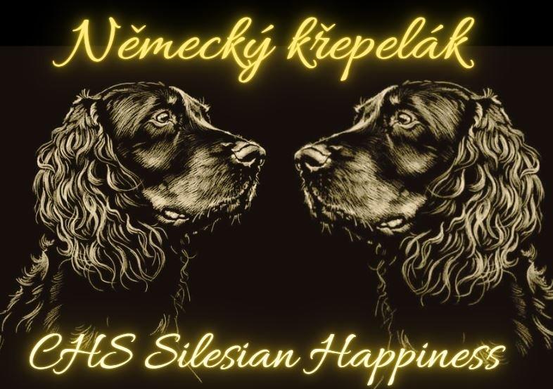SilesianHappiness