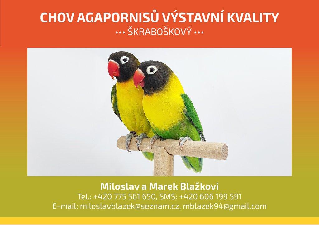 Marek_Blazek