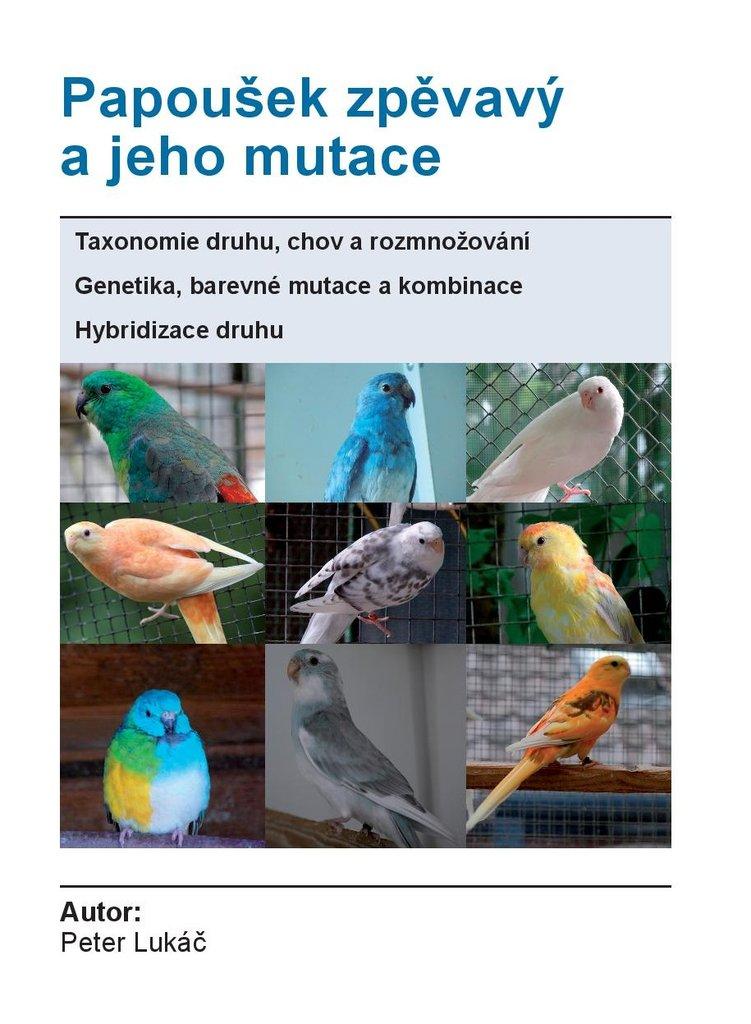 parrotss
