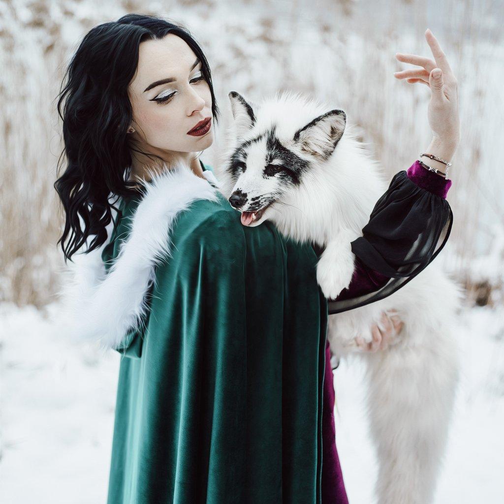PetFox