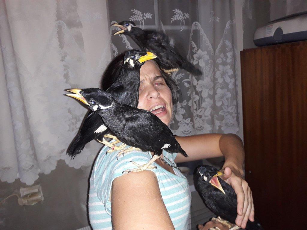loskutakruda
