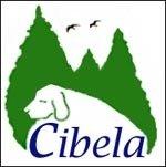 Cibela
