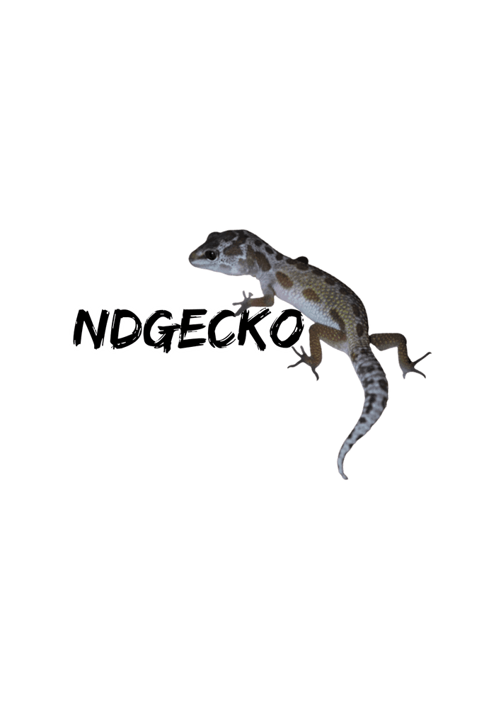 NDgecko