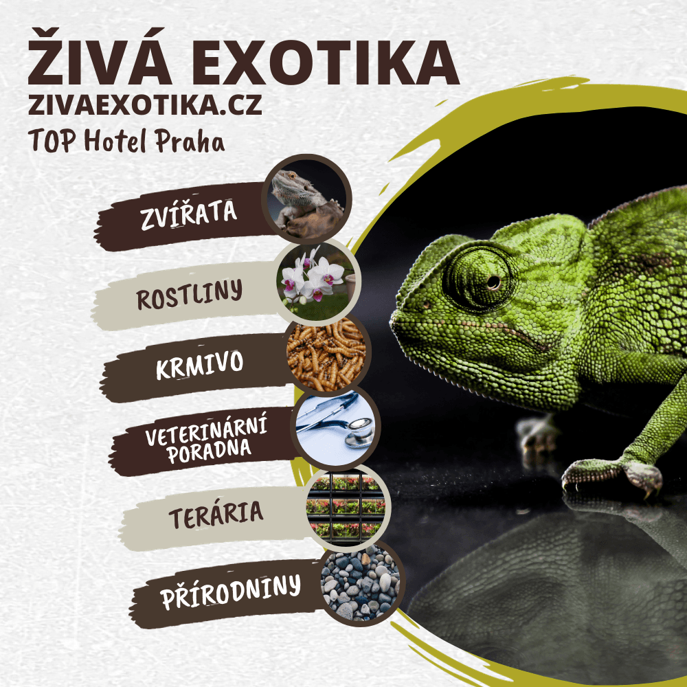 ŽIVÁ EXOTIKA 7.3.2026