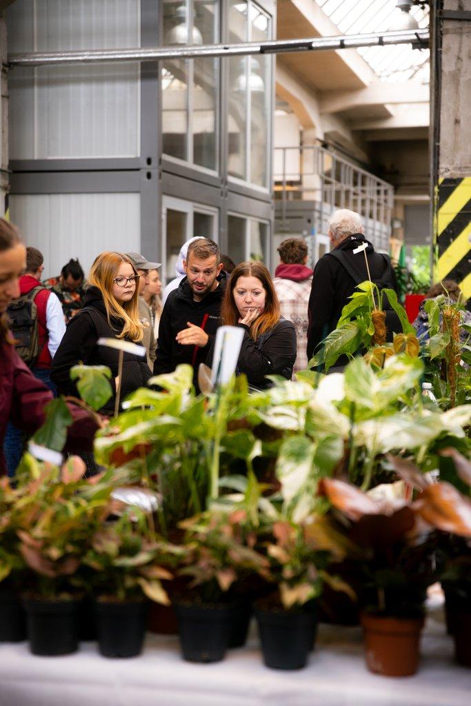 Happyplant Říčany - Prodejní akce pokojových rostlin