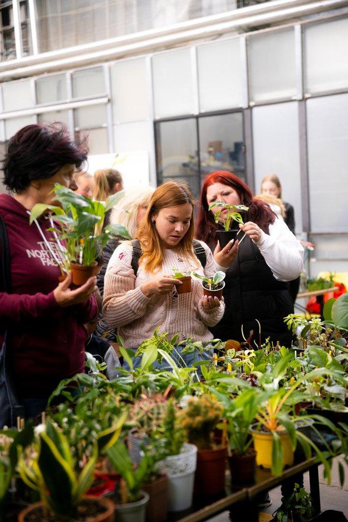 Happyplant Říčany - Prodejní akce pokojových rostlin