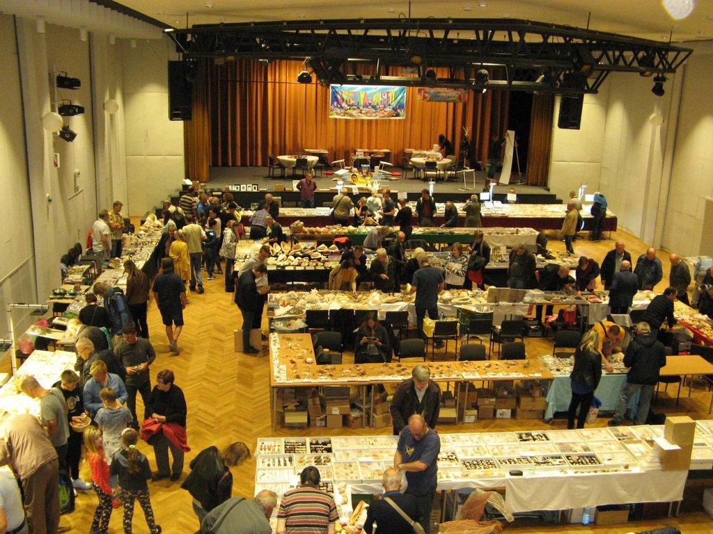 Výstava lastur a mořských přírodnin