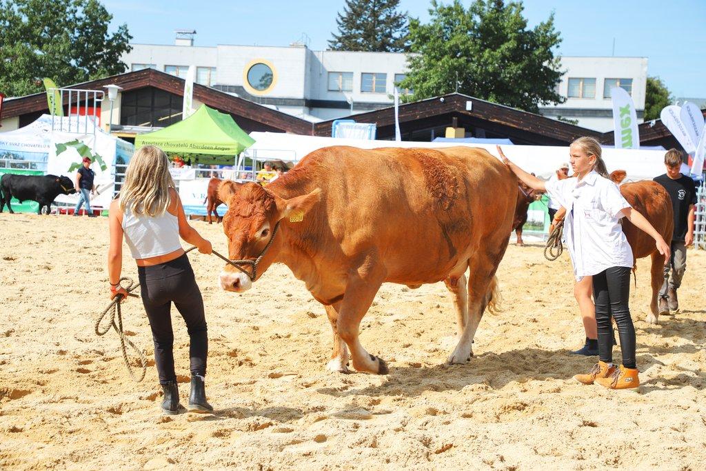 Země živitelka 2026 – Mezinárodní agrosalon v Českých Budějovicích