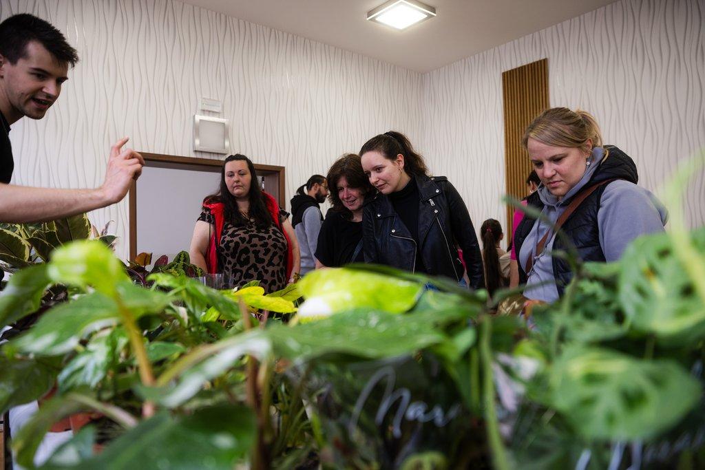 Happyplant Tábor - Prodejní akce pokojových rostlin