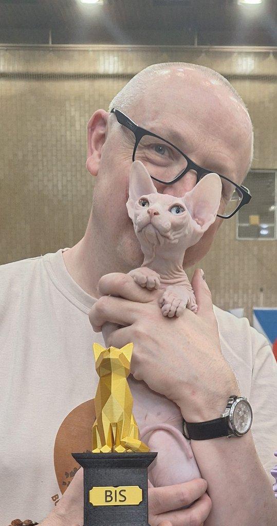 Mezinárodní výstava koček v Brně