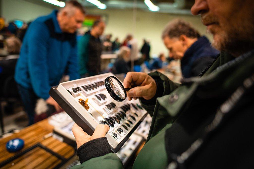 Prodejní výstava brouků a motýlů, Výstaviště Kroměříž, sobota 31.1.2026